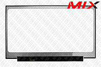 Матрица N173FGA-E34 REV.C4 для ноутбука