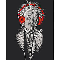 Картина по номерам "Эйнштейн в наушниках" Art Craft 10314-AC 40х50 см ds