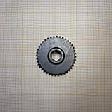 Шестерня валу первинного першої передачі Z=40, фото 2