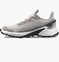 Urbanshop com ua Кросівки Salomon Alphacross 4 Gtx Grey L41723200 РОЗМІРИ ЗАПИТУЙТЕ