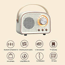 Bluetooth-колонка DW-21 ретро з підтримкою РадіоFM, microUSB, USB /акумулятор/, фото 4