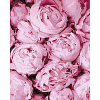 Картина по номерам "Розовая нежность" Идейка KHO2998 40х50 см Seli Картина за номерами "Рожева ніжність"