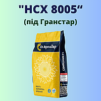 Соняшник "НС Х 8005" (Економ)