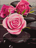 Картина за номерами на дереві "Троянди на каменях" 30*40 см