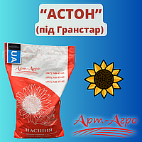 Соняшник "Астон" (Стандарт