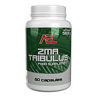 Стимулятор тестостерона AllSports Labs ZMA Tribulus, 60 капсул