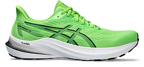 Кросівки для бігу чоловічі Asics GT-2000 12 1011B691-300