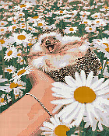 Алмазна мозаїка/вишивка Їжачок у ромашках 40*50 см Орігамі OD 3086