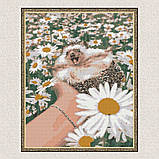 Алмазна мозаїка/вишивка Їжачок у ромашках 40*50 см Орігамі OD 3086, фото 4