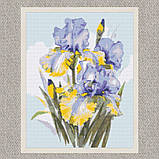 Алмазна мозаїка/вишивка Букет ірисів 40*50 см Орігамі OD 31600, фото 5