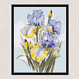 Алмазна мозаїка/вишивка Букет ірисів 40*50 см Орігамі OD 31600, фото 6