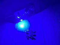 Лампа T10(W5W)БЦ 12V LED 24х4014 blue canbus обманка (СИНІЙ)