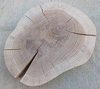 Натуральный срез дерева шлифованный с двух сторон d32х26см. Толщ 4см. Дуб