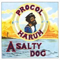 Procol Harum — A Salty Dog 1969/2017 Music On Vinyl/EU Mint Вінілова пластинка (art.245448)