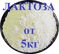Лактоза харчова від 5кг (ціни в описі товара)