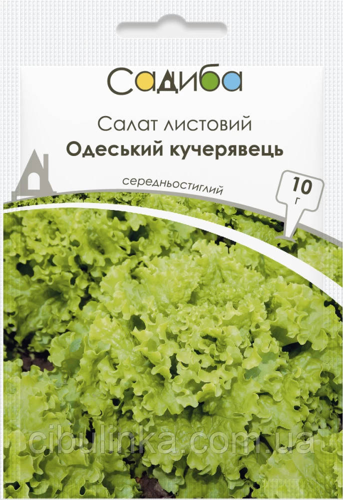 Салат Одеський Кучерявець Cадиба центр 10 г, фото 1
