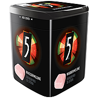 Жвачка 5gum Wassermelone 75g Арбуз