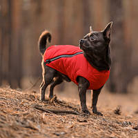 Жилет для тварин Pet Fashion E.Vest S червоний (4823082424450) e