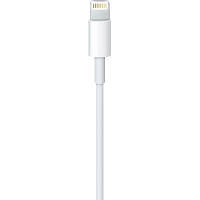 Дата кабель USB 2.0 AM to Lightning 2.0m Apple (MD819ZM/A) g