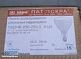 Лампа інфрачервона ІКЗК 250 Вт Е27 "Іскра" для обігрівання тварин, фото 3
