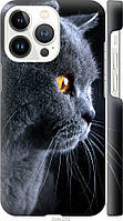 Чехол 3d пластиковый матовый Endorphone iPhone 13 Pro Красивый кот (3038m-2372-26985) KB, код: 7942789