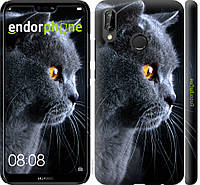 Пластиковый чехол Endorphone на Huawei P20 Lite Красивый кот (3038t-1410-26985) KB, код: 1390938