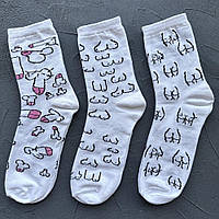 Подарочный Набор носков "18+" 12 Пар 40-45 размер белые хорошее качество