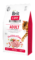 Сухой корм для кошек Brit Care Cat GF Adult Activity Support 2 кг (курица и индейка) i