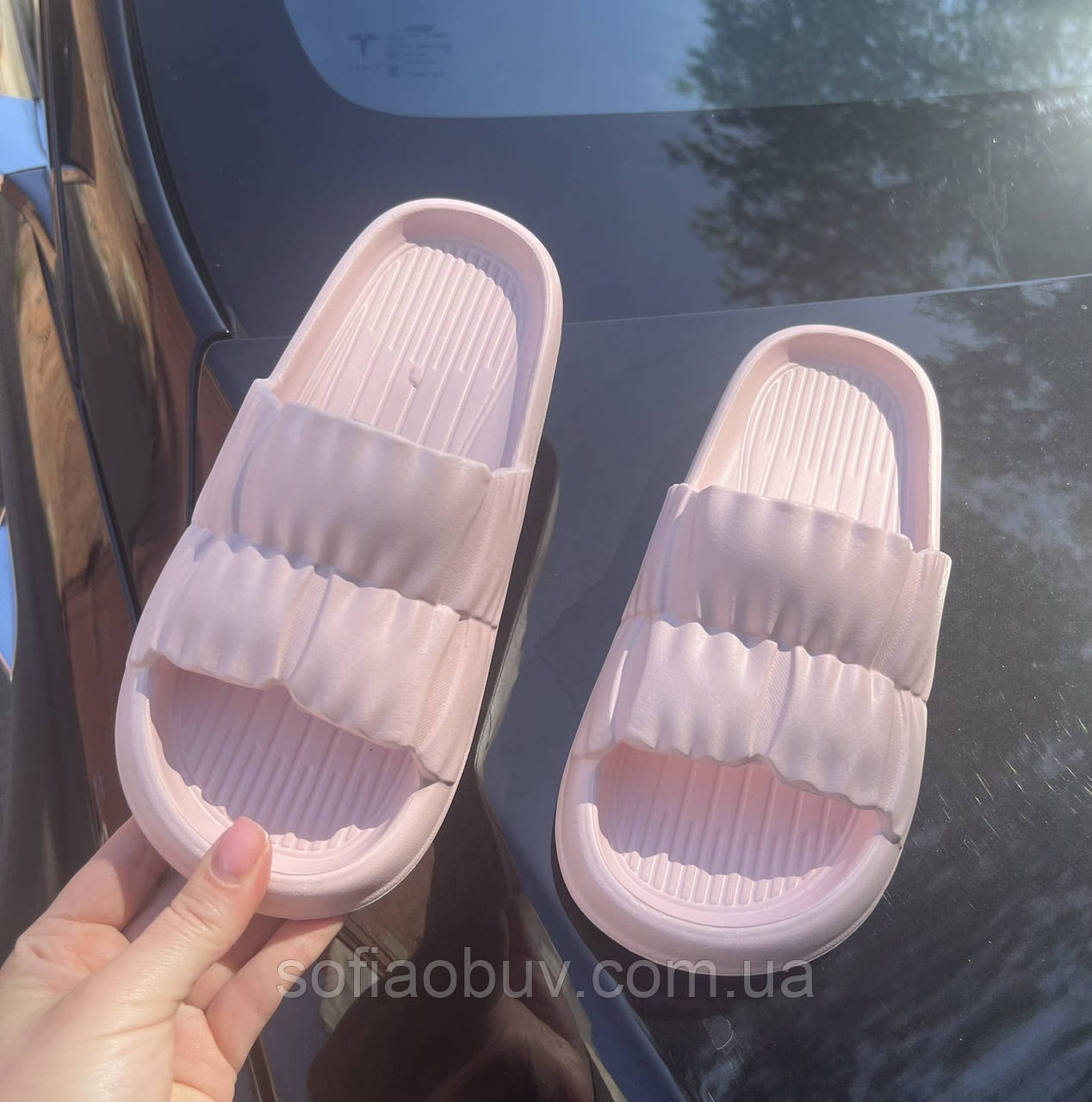 Сланці жіночі ЕВА Payas
