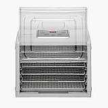 Сушарка для грибів, овочів та фруктів 500 Вт Concept SO-2050 Побутовий дегідратор для сушіння продуктів, фото 9