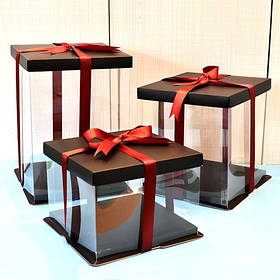 Пластикова прямокутна коробка 175х175х290 мм.