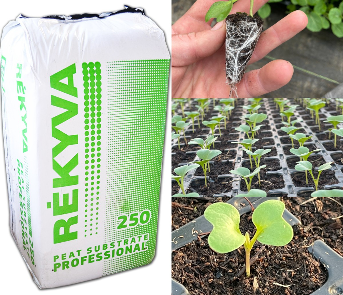 Субстрат для посіву розсади Rekyva Remix 1 pH 5.5-6.5 фр. 0-7 мм 250 л