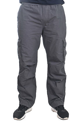 Штани чоловічі Blackzi 24-8167 темно-сірі, фото 2