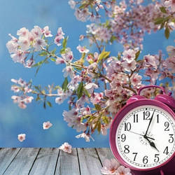 Літнє оновлення! 