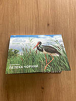 Монета Чорнобиль. Відродження. Лелека чорний у сувенірному пакованні 5 грн.