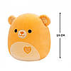 М'яка іграшка Squishmallows – Ведмідь Чемберлен (19 cm), фото 3