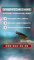 Знищення комах і гризунів. Гарантований результат. Безпечно для дітей і тварин