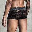 Чоловічі еротичні сітчасті труси Charlie S/L, фото 5