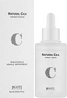 JIGOTT Сироватка для обличчя ЦЕНТЕЛЛА Natural Cica Perfect Serum, 50 мл