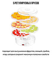 Харчова сушарка для овочів та фруктів на 5 ярусів та потужністю 1200 Вт BITEK BT-6800
