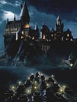 Плед «Гарі Поттер. Хогвартс. Harry Potter. Hogwarts. Plaid», фото 3