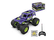 Монстр Трак на радіоуправлінні ENIGMA Monster | Джип на пульті управління | Машинка на радіокеруванні, фото 9