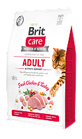 Сухий корм для котів Brit Care Cat GF Adult Activity Support 2 кг (курка і індичка) m