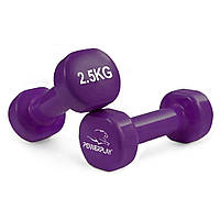 Гантель виниловая PowerPlay 4125 Achilles Violet, 2*2.5 кг CN15268 VB