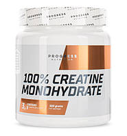 Креатин Progress Nutrition Creatine Monohydrate, 500 грамм CN5361 VB