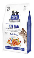 Сухой корм Brit Care Cat by Nutrition Kitten Gentle Digestion Strong Immunity для котят, с лососем, 2 кг l