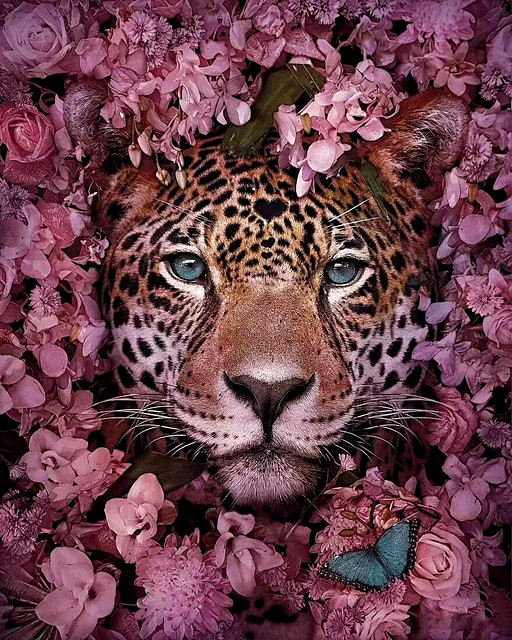 Алмазна мозайка на підрамнику Тварини "Леопард у квітах" 40*50 см My-Art TN1197