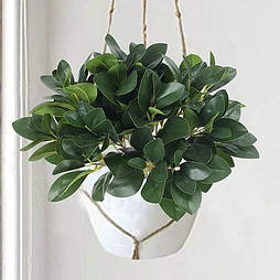 Штучний кущ фікуса люкс 30 см латекс