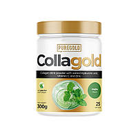 Препарат для суставов и связок Pure Gold Protein CollaGold, 300 грамм Мохито MS