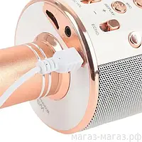 Bluetooth микрофон караоке WS-858 динамиком беспроводной колонкой USB FM тюнером радио m